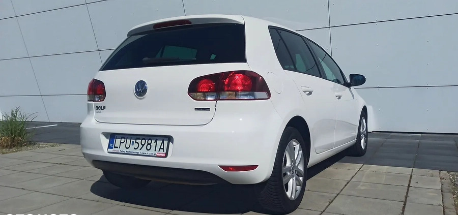 Volkswagen Golf cena 19900 przebieg: 272000, rok produkcji 2010 z Skórcz małe 301